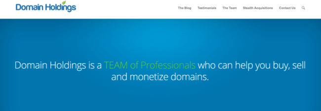 Homepage image of Domain Holdings website