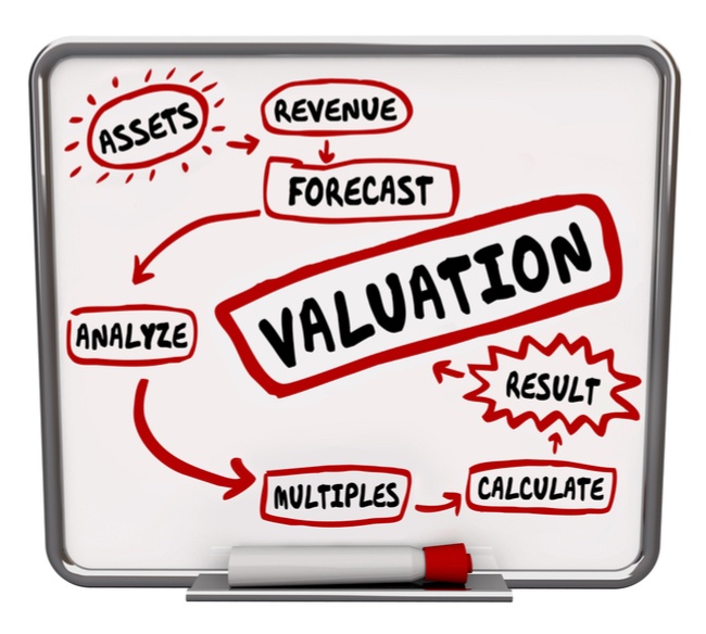 Domain Name Worth Valuation Model