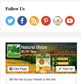 Picture of Natural Blaze’s social sharing buttons