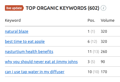 Sample keywords for Natural Blaze’s free website SEO audit report