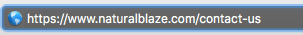 Screenshot of Natural Blaze’s URL structure