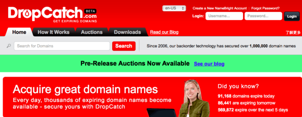 Homepage of Dropcatch domains seller, web adress - dropcatch.com.