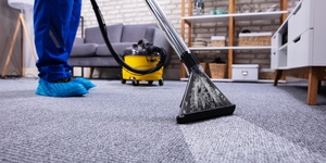 Professional Carpet Cleaner vacuuming in a living room.