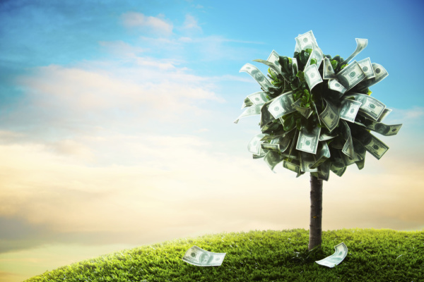 A tree is drawn on the grass with money with blue and cloudy sky as a background.